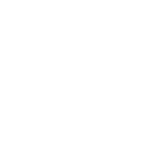 Nicole van der Aa